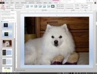 ¿Cómo eliminar fondos de imágenes en PowerPoint 2013