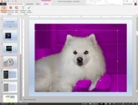 ¿Cómo eliminar fondos de imágenes en PowerPoint 2013