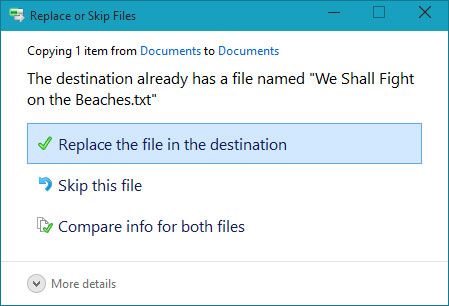 Elija si desea reemplazar el archivo existente, omita el archivo o elegir qué archivo para guardar.