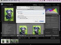 Cómo configurar las colecciones de sus fotos del perro dentro de Lightroom