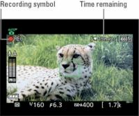 Cómo grabar vídeos utilizando la configuración predeterminada en su d5300 nikon