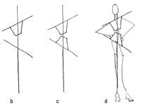 Cómo inclinar los hombros y las caderas sin curvas de dibujo s