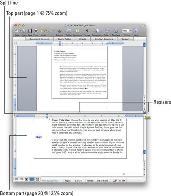 ���� - ¿Cómo dividir una ventana en Word 2008 para Mac