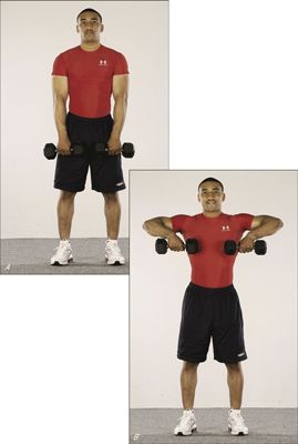 ���� - ¿Cómo fortalecer los hombros con la fila vertical