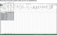 Cómo utilizar Autofiltro en una tabla de Excel