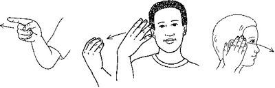 ���� - Cómo utilizar los tiempos verbales en el lenguaje de señas americano