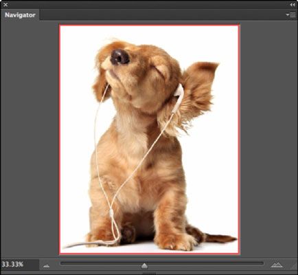 Cómo utilizar el panel de navegación en Photoshop CS6