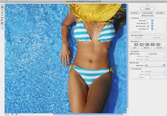 Cómo utilizar las herramientas que no pintura en Photoshop CS6's liquify window