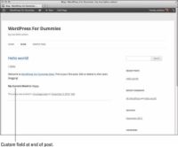 Cómo utilizar la interfaz de wordpress campos personalizados