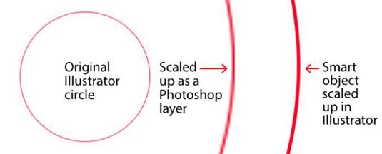 Al ver las diferencias entre Photoshop e Illustrator.