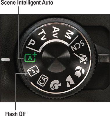 Ajuste el dial de modo a Auto o Auto Flash apagado para el punto de & # 8208 y # 8208 y disparar simplicidad.