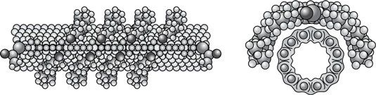 Funcionalización de un nanotubo de carbono uniendo una molécula a él utilizando van der Waals.