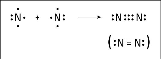 La formación del enlace triple de nitrógeno.