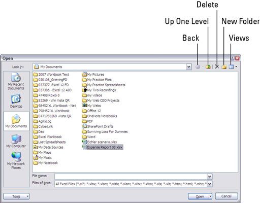 El cuadro de diálogo Abrir como aparece cuando se ejecuta Excel 2007 en Windows XP.