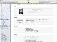 ���� - Las opciones para sincronizar el iPad con iTunes