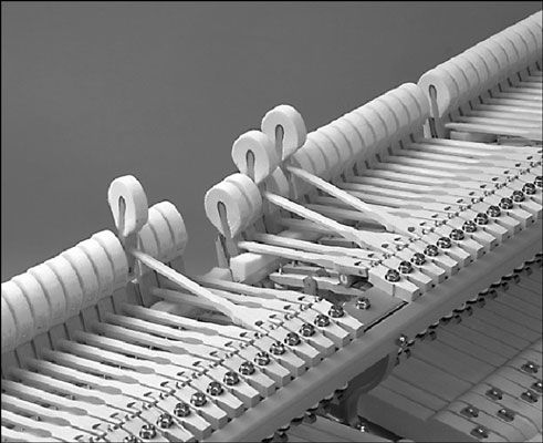 Martillos vibrar las cuerdas del piano para producir música para tus oídos.