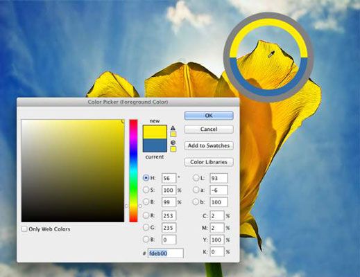 Utilice el selector de color para definir los colores con precisión. El Cuentagotas's Sampling Ring is visib