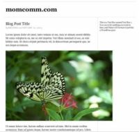 ���� - Imágenes correctamente tamaño para complementar el diseño de tu blog