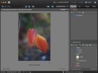 Clasifique sus fotos en Photoshop Elements