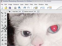 Eliminación de ojos rojos de una foto digital con elementos del photoshop adobe