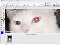Eliminación de ojos rojos de una foto digital con elementos del photoshop adobe
