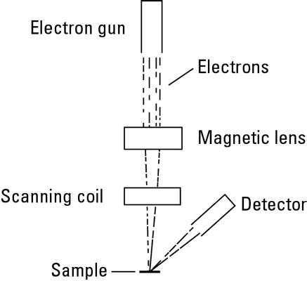 Diagrama de un microscopio electrónico de barrido.