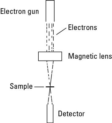 Diagrama de un microscopio electrónico de transmisión.