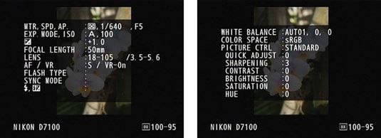 ���� - Disparos modo de visualización de datos en su D7100 de Nikon