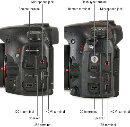 ���� - Sony Alpha SLT-A65 / A77 para dummies