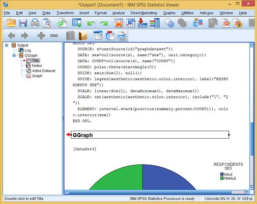 La ventana de SPSS Statistics Visor mostrar texto y gráficos con algunos objetos seleccionados.