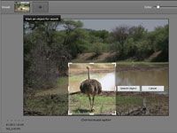 Diez maneras de buscar en Photoshop Elements 11