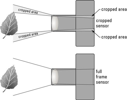 Un sensor más pequeño crea la ilusión de una imagen más ampliada que la de un sensor de fotograma completo.