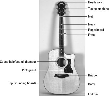 ���� - La anatomía de una guitarra acústica