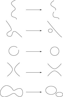 ���� - Los elementos básicos de la teoría de cuerdas