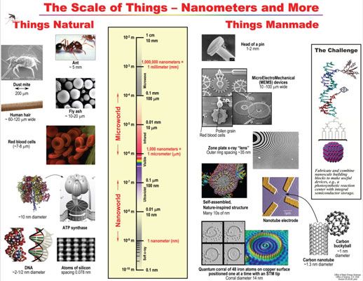 Estructura de algunas nanopartículas clave (como la molécula de ADN en la parte inferior izquierda) y su tamaño en