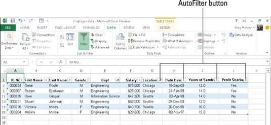 ���� - La característica Autofiltro de Excel 2013